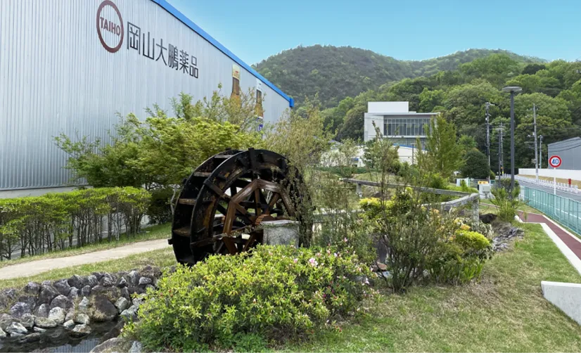 社員の願いが込められたビオトープ