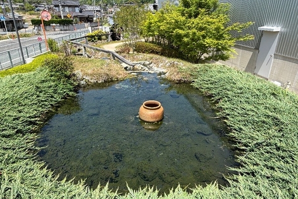 岡山大鵬薬品のビオトープ