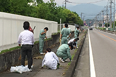 Saitama Plant Cleanup Activity