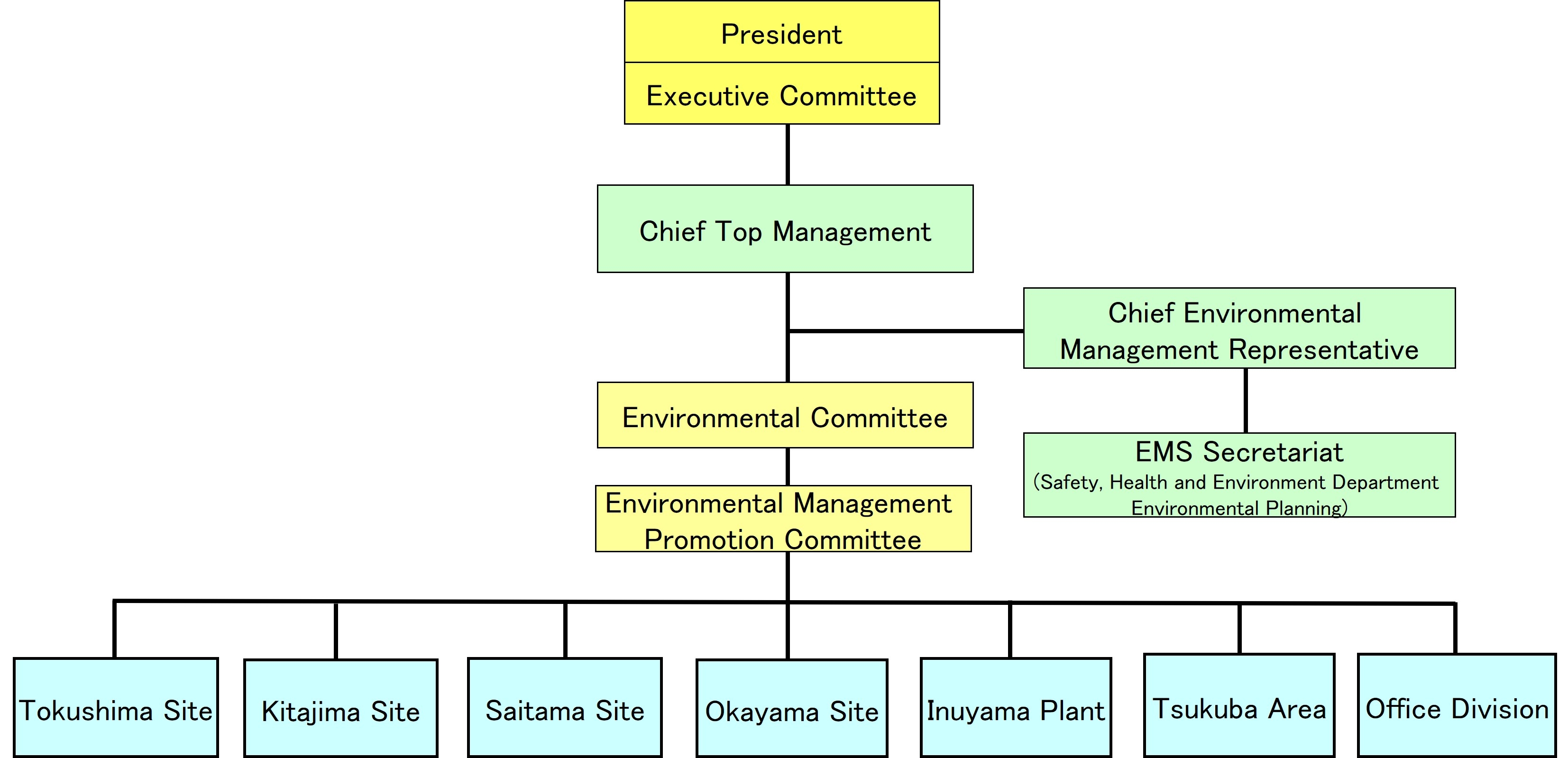 Environmental Management Structure