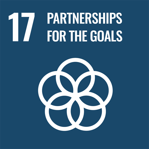 17. Strengthen the means of implementation and revitalize the Global Partnership for Sustainable Development