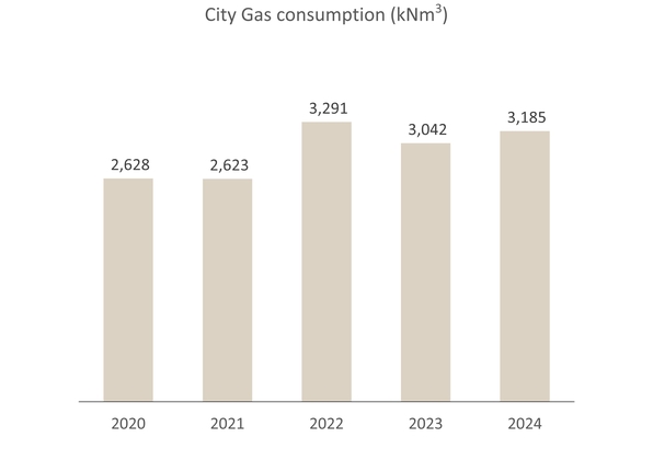 City gas consumption (kNm3)