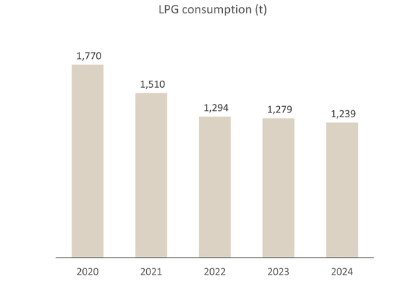 LPG consumption (t)