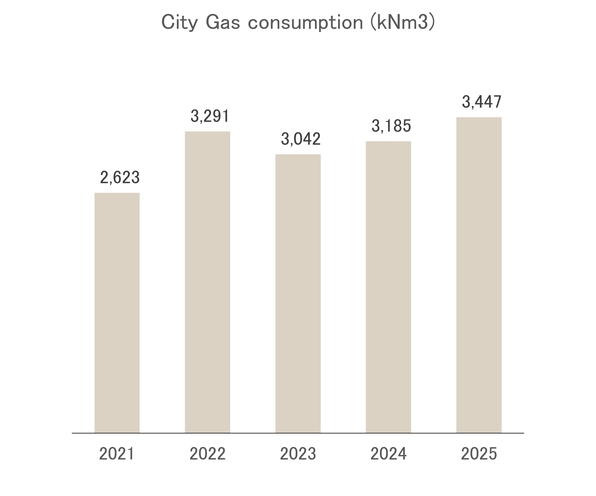 City gas consumption (kNm3)
