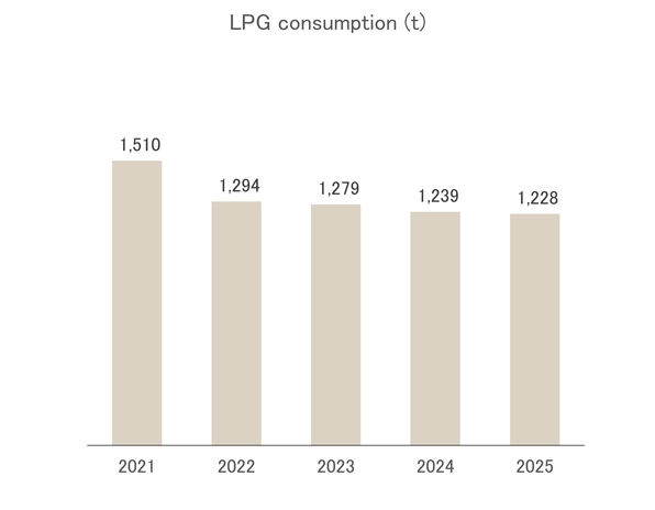 LPG consumption (t)