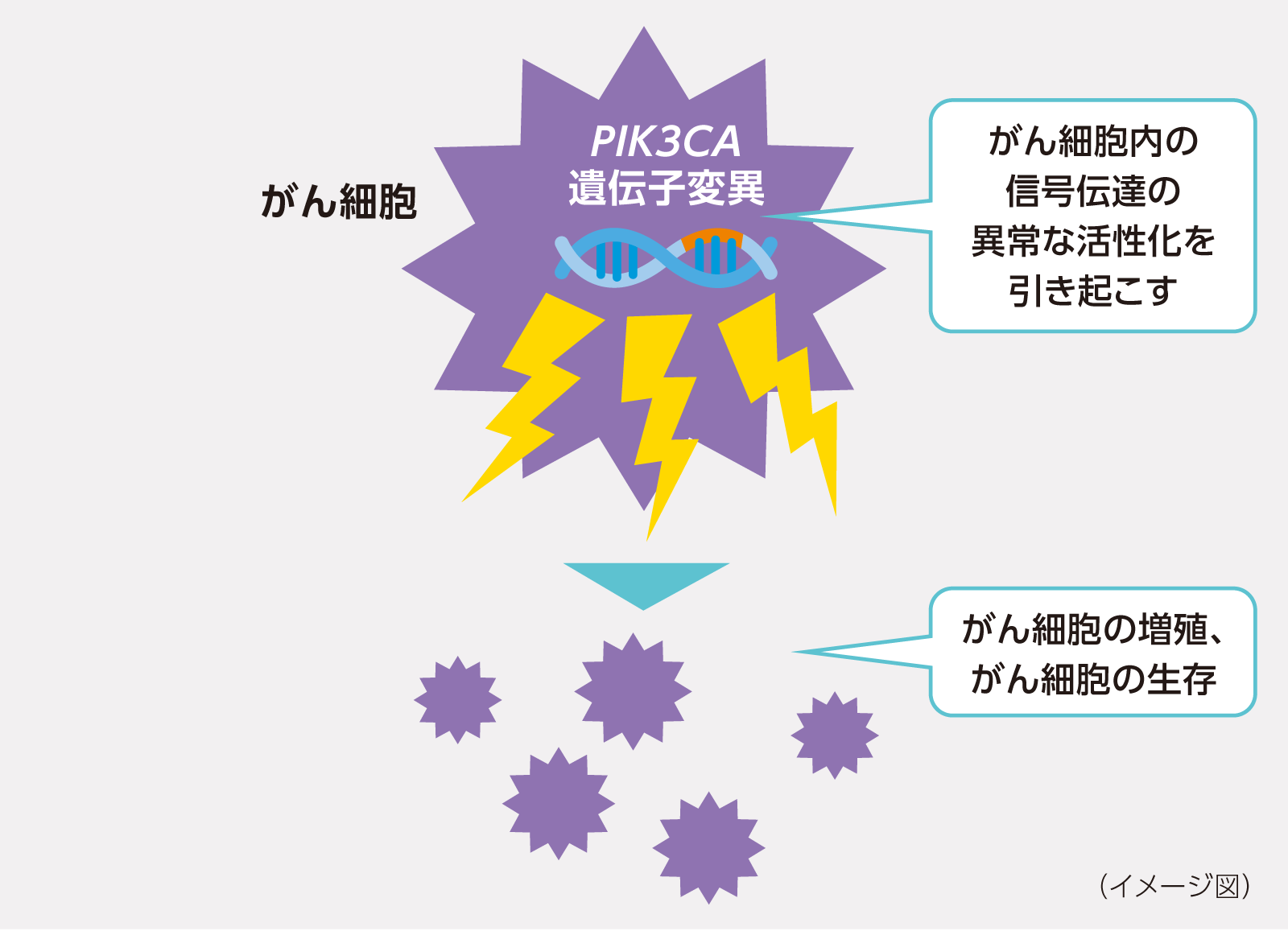遺伝子変異とは？